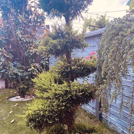 Homestay Vila Iulia Eforie Nord