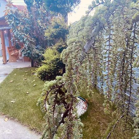 Vila Iulia Habitación en casa particular Eforie Nord