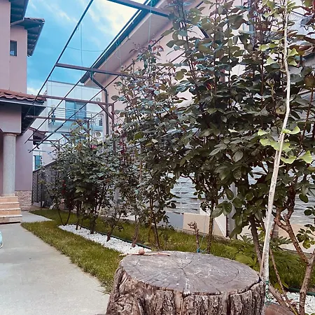 Vila Iulia Homestay