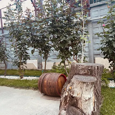 Vila Iulia